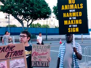 PETA Protest
